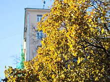 На выходных в Москве и Подмосковье ожидается потепление
