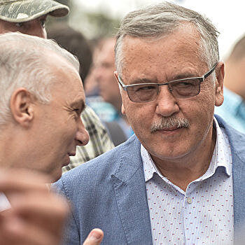 Царев рассказал, как Гриценко будет добиваться победы на выборах