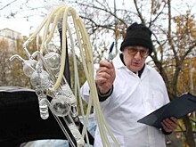 Дышите чаще. Специалисты подтвердили, что в нашем округе воздух чистый
