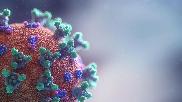ВОЗ созвала экстренное совещание из-за нового штамма коронавируса