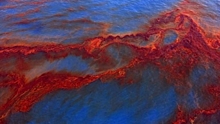 Власти США хотят разрешить добычу нефти в ранее закрытых для этого прибрежных районах
