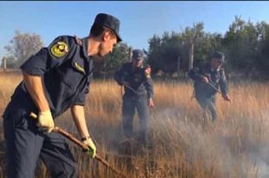 В Ульяновской области за сутки потушили 42 гектара горящей травы