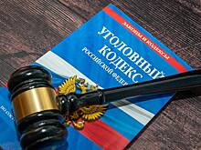 Российский коллекционер и антикварщик получили сроки за продажу оружия