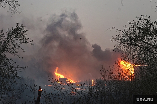 Жильцы тюменских деревень массово отбиваются от пожаров