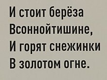 На Сахалине в есенинском сквере нашли ошибку в стихотворении