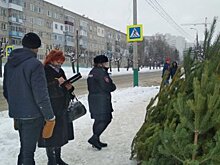 После жалобы пензенца елочный базар на Минской улице закрыли