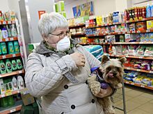 «Магнит» компенсирует покупателям сбой в ценниках в Волгограде