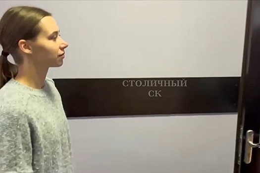 Блогеру Александре Митрошиной добавили обвинения