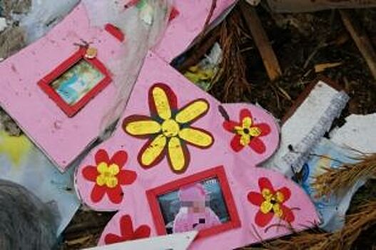 Детские фото и документы выкинули на свалку в Ростовской области
