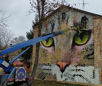 Граффити с котом появится на одном из домов на улице Культуры