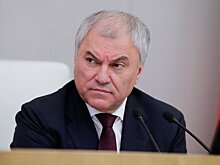 Госдума приняла в I чтении проект по борьбе с телефонным и интернет-мошенничеством
