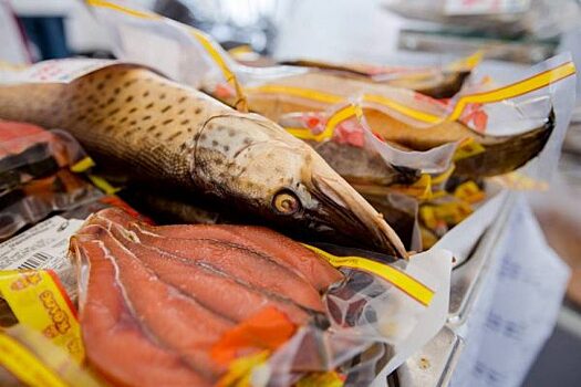 В строительство рыбного рынка во Владивостоке уже вложили 23 млн рублей