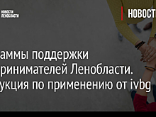 Программы поддержки предпринимателей Ленобласти. Инструкция по применению от ivbg