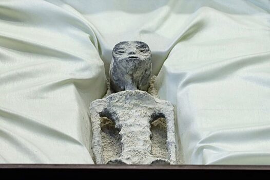 Мексиканские ученые усомнились в подлинности предполагаемых «мумий инопланетян»