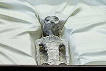 Мексиканские ученые усомнились в подлинности предполагаемых «мумий инопланетян»