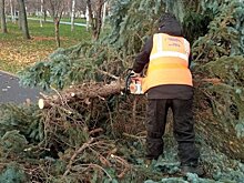 Городские службы устраняют последствия сильного ветра в Москве