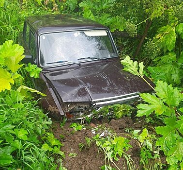 В Лузском районе «семёрка» «нырнула» в борщевик: водитель госпитализирован