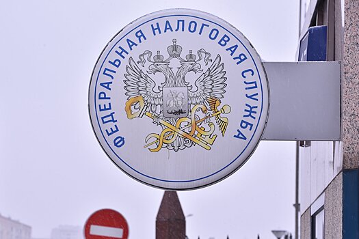Россиян предупредили о возможных визитах налоговиков в их квартиры