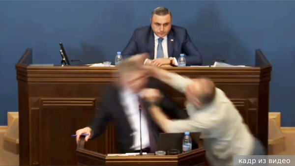 Депутаты парламента Грузии подрались в ходе обсуждения «русского закона»