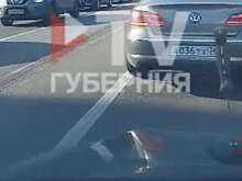 В Воронеже мужчина вонзил нож в капот автомобиля глухонемого водителя