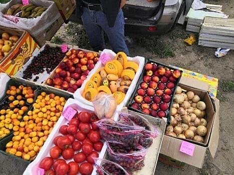 В Забайкалье перехватили партию заражённых фруктов