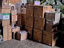 С начала частичной мобилизации в поддержку военнослужащих из Вологодской области собрано 100 тонн гуманитарных грузов