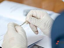 Работа, помощь, книги: как проводят нерабочие дни депутаты Заксобрания Челябинской области