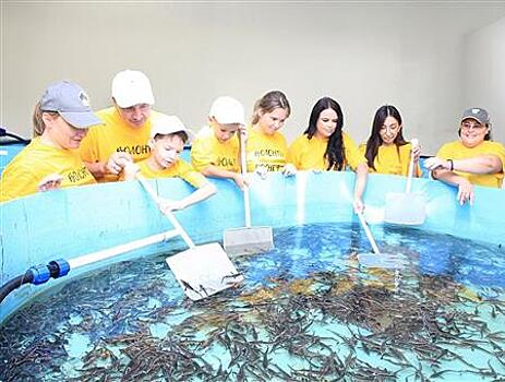 Нефтепереработчики выпустили в Волгу 11 тысяч мальков стерляди