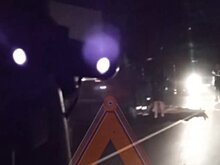 На трассе М-5 под Чемодановкой насмерть сбили пешехода
