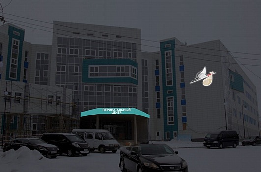 До 31 января на Псковском перинатальном центре должны появиться световые вывески