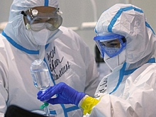 В России выявили новый вариант коронавируса «цербер»