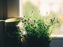 В доме на Тайнинской привели в порядок окно