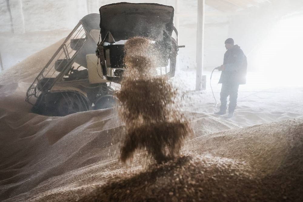 В интервенционный фонд РФ закупили более 5 тыс. тонн зерна