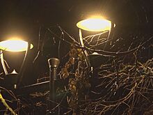 Освещение появилось в сквере на площади Революции в Истре