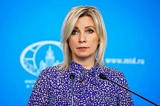 Захарова рассказала, как можно «довести себя до Стубба»