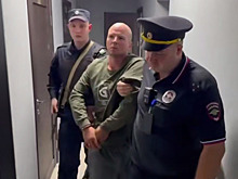 «Принял ребенка за чемодан»: родственники наркомана-садиста из Шереметьево объяснили его поступок