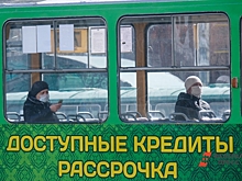 ЛДПР предлагает ограничить ставки для микрокредитных организаций: доходят до 292 % годовых