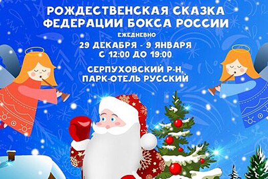Воспитанники детских домов посетят Рождественскую елку от Федерации бокса РФ в Серпухове
