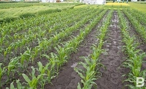 Экспорт детских товаров с начала года в столице вырос