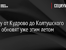 Дорогу от Кудрово до Колтушского шоссе обновят уже этим летом