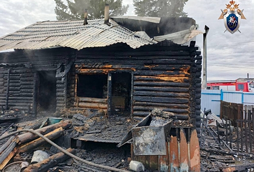 В Муромцево после избиения отчима умер 2-летний мальчик, а вскоре в пожаре погибла его сестра