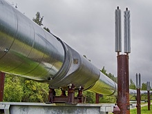 Всех в топку!