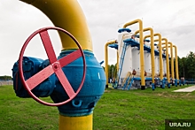 Энергетик назвал ключевые минусы главного конкурента РФ по газу
