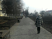 Зону отдыха на болоте открыли в Мошково