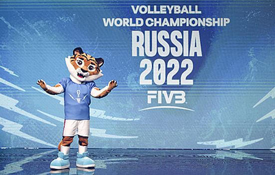 Шевченко назвал долгим процесс возврата средств за отмену чемпионата мира по волейболу