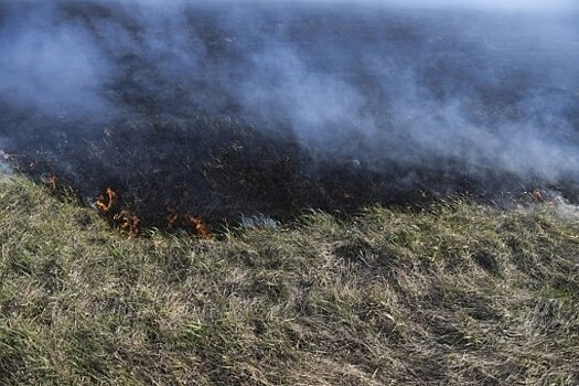 Два жилых дома сгорели в Биробиджане из-за пала травы