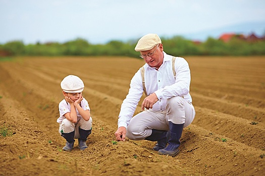 Более 60 участников и ветеранов СВО получили грант &laquo;Агромотиватор&raquo;