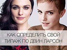 Как определить свой типаж по Двин Ларсон?