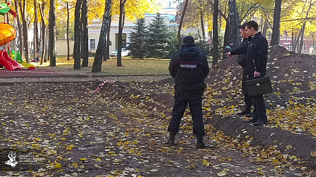 Рязанские археологи вызвали наряд Росгвардии к яме у кремля