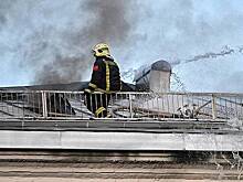 Во дворце княгини Ольги Палей под Петербургом произошел пожар